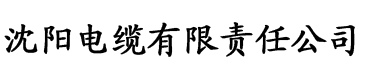 家丁之远方来客未删减版电缆厂logo